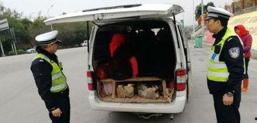 泉州面包车爆料视频最新,揭秘城市生活背后不为人知的真相  第1张