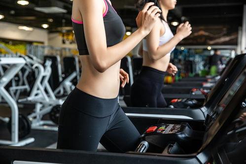 健身最新爆料文案,揭秘健身达人秘籍与前沿训练方法  第2张