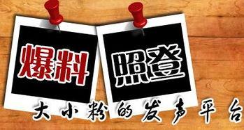 怎么向当地新闻网爆料,如何高效向当地新闻网提供新闻线索 第1张 怎么向当地新闻网爆料,如何高效向当地新闻网提供新闻线索 第1张