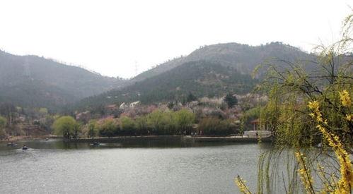 十梅庵今日爆料最新消息,今日最新爆料震撼来袭！