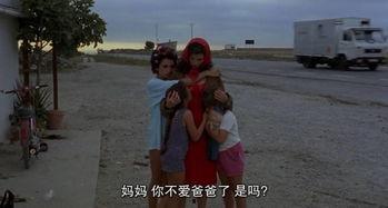 共夫共妻在线观看  第2张